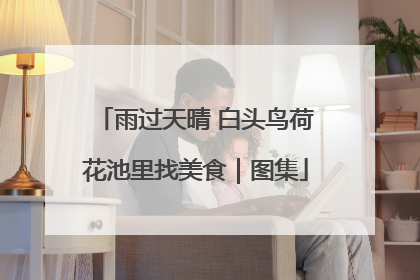 雨过天晴 白头鸟荷花池里找美食｜图集