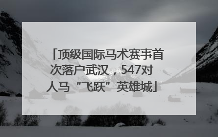 顶级国际马术赛事首次落户武汉，547对人马“飞跃”英雄城