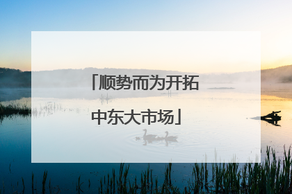 顺势而为开拓中东大市场
