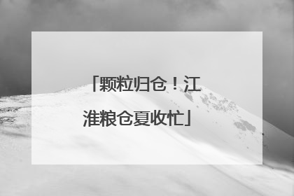 颗粒归仓！江淮粮仓夏收忙