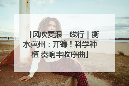 风吹麦浪一线行｜衡水冀州：开镰！科学种植 奏响丰收序曲