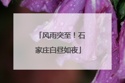 风雨突至！石家庄白昼如夜