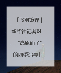 飞羽镜界｜新华社记者对“高原仙子”的四季追寻