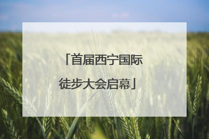 首届西宁国际徒步大会启幕