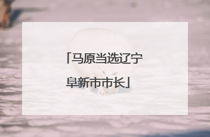 马原当选辽宁阜新市市长