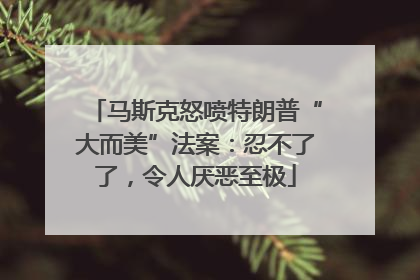 马斯克怒喷特朗普“大而美”法案：忍不了了，令人厌恶至极