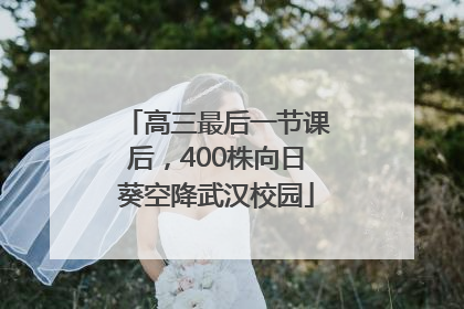 高三最后一节课后，400株向日葵空降武汉校园