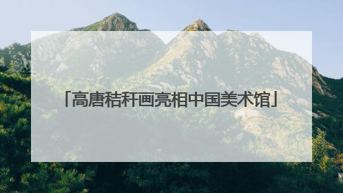 高唐秸秆画亮相中国美术馆