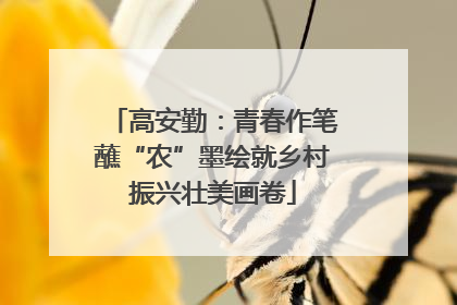 高安勤：青春作笔蘸“农”墨绘就乡村振兴壮美画卷
