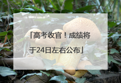 高考收官！成绩将于24日左右公布