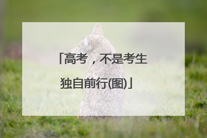 高考，不是考生独自前行(图)