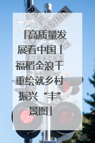 高质量发展看中国丨福稻金浪千重绘就乡村振兴“丰”景图