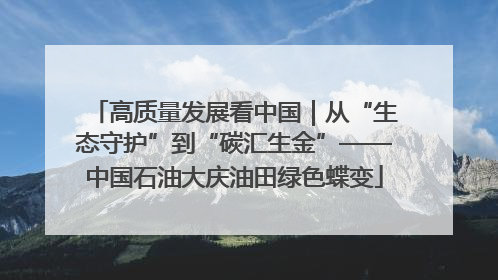 高质量发展看中国｜从“生态守护”到“碳汇生金”——中国石油大庆油田绿色蝶变