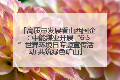 高质量发展看山西国企：中能煤业开展“6·5”世界环境日专题宣传活动 共筑绿色矿山