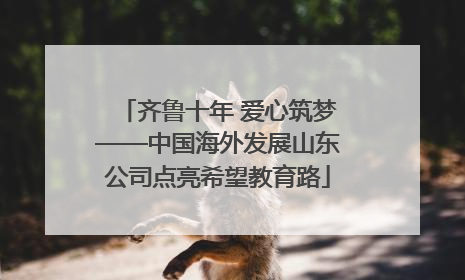 齐鲁十年 爱心筑梦——中国海外发展山东公司点亮希望教育路