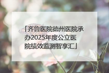 齐鲁医院德州医院承办2025年度公立医院绩效监测智享汇