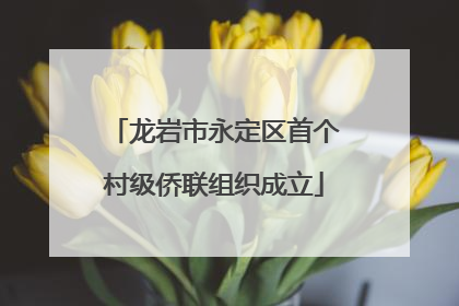 龙岩市永定区首个村级侨联组织成立