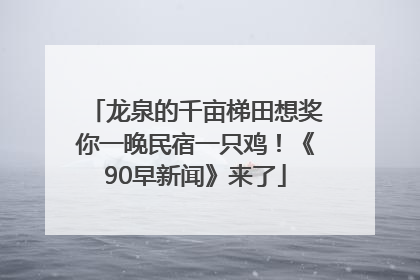 龙泉的千亩梯田想奖你一晚民宿一只鸡！《90早新闻》来了