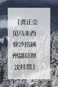 龚正会见马来西亚沙捞越州副总理沈桂贤