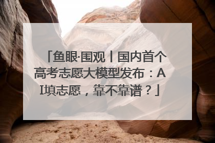 鱼眼·围观丨国内首个高考志愿大模型发布：AI填志愿，靠不靠谱？