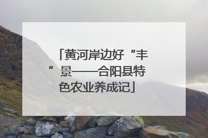 黄河岸边好“丰”景——合阳县特色农业养成记