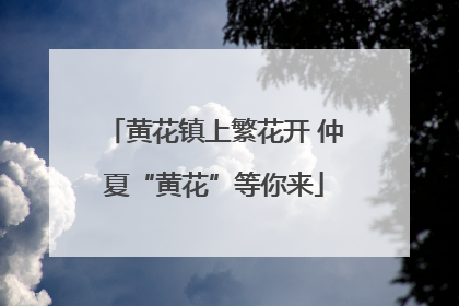 黄花镇上繁花开 仲夏“黄花”等你来