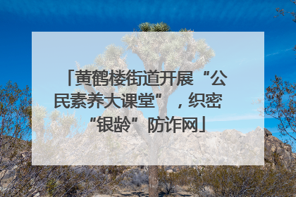 黄鹤楼街道开展“公民素养大课堂”，织密“银龄”防诈网