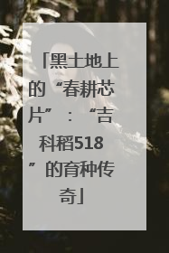 黑土地上的“春耕芯片”：“吉科稻518”的育种传奇