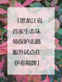 黑龙江省首家生态环境保护志愿服务试点在伊春揭牌