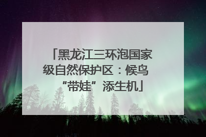 黑龙江三环泡国家级自然保护区：候鸟“带娃”添生机