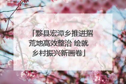 黟县宏潭乡推进撂荒地高效整治 绘就乡村振兴新画卷