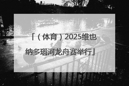 （体育）2025维也纳多瑙河龙舟赛举行