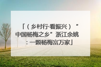 （乡村行·看振兴）“中国杨梅之乡”浙江余姚：一颗杨梅富万家