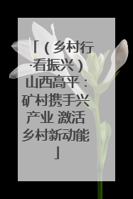 （乡村行·看振兴）山西高平：矿村携手兴产业 激活乡村新动能