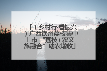 （乡村行·看振兴）广西钦州荔枝集中上市 “荔枝+农文旅融合”助农增收