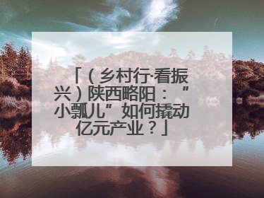 （乡村行·看振兴）陕西略阳：“小瓢儿”如何撬动亿元产业？