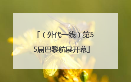 （外代一线）第55届巴黎航展开幕