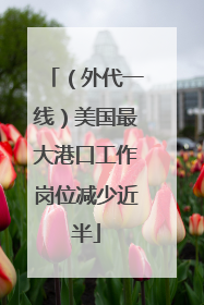 （外代一线）美国最大港口工作岗位减少近半
