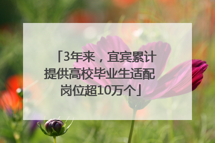 3年来，宜宾累计提供高校毕业生适配岗位超10万个