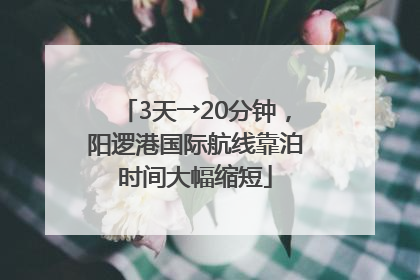 3天→20分钟，阳逻港国际航线靠泊时间大幅缩短