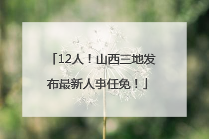 12人！山西三地发布最新人事任免！