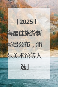 2025上海最佳旅游新场景公布，浦东美术馆等入选