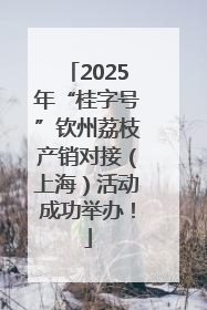 2025年“桂字号”钦州荔枝产销对接（上海）活动成功举办！