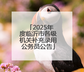 2025年度临沂市各级机关补充录用公务员公告