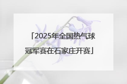 2025年全国热气球冠军赛在石家庄开赛