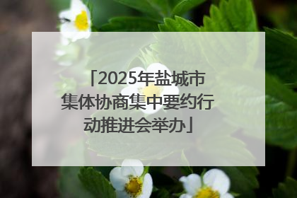2025年盐城市集体协商集中要约行动推进会举办
