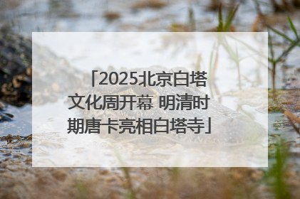 2025北京白塔文化周开幕 明清时期唐卡亮相白塔寺