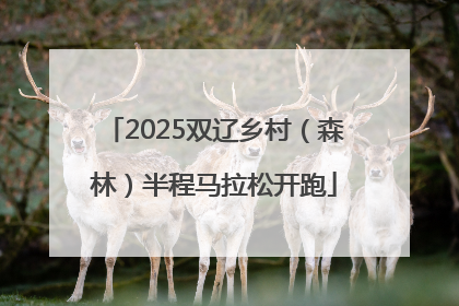 2025双辽乡村（森林）半程马拉松开跑