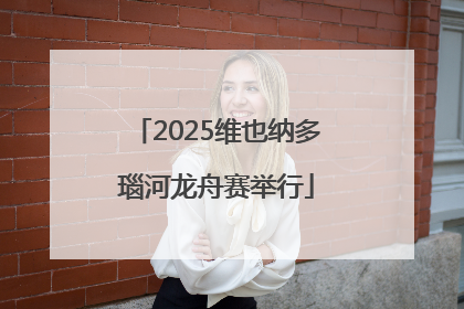 2025维也纳多瑙河龙舟赛举行