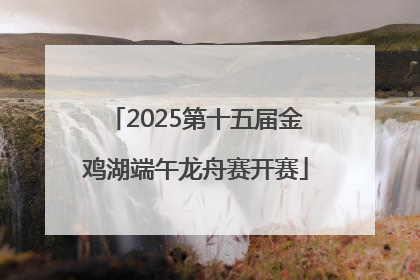 2025第十五届金鸡湖端午龙舟赛开赛